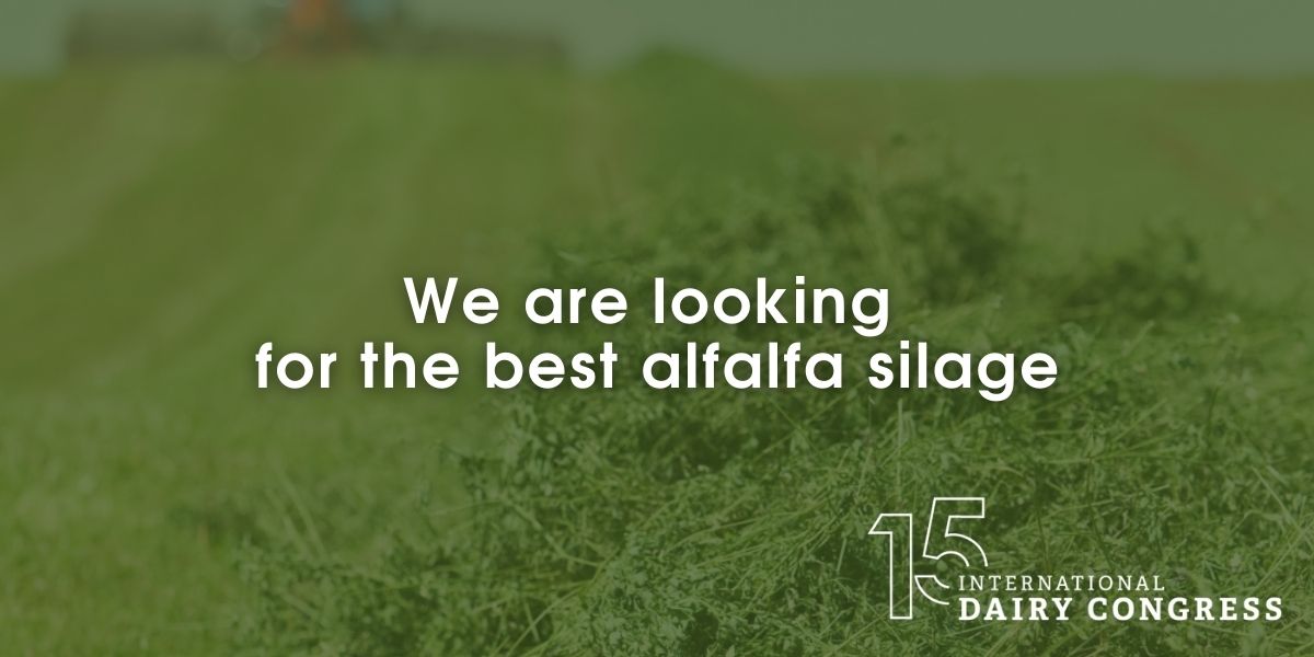 We are looking for the best alfalfa silage