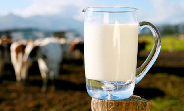 Картинки по запросу селянам заборонили продавати молоко