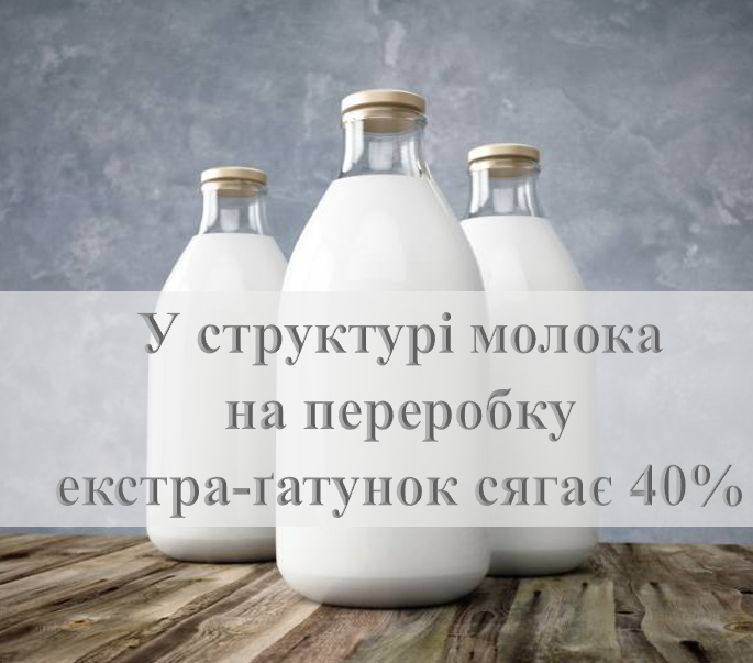 У структурі молока, що надійшло на переробку, екстра-ґатунок сягає 40%