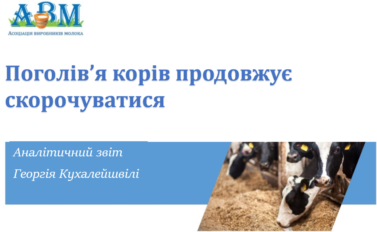 Поголів’я корів продовжує скорочуватися в листопаді