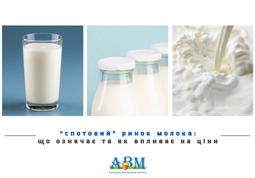 "Спот" у молочному бізнесі: що означає та як впливає на ціни