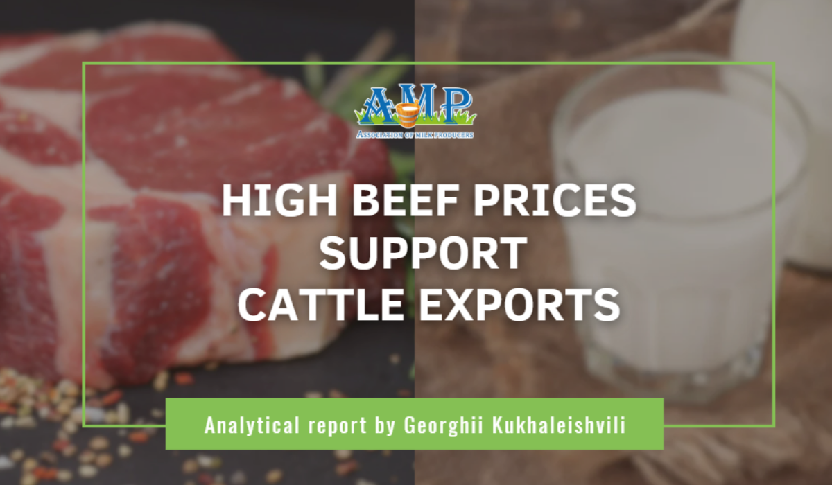 High Beef Prices Support Cattle Exports