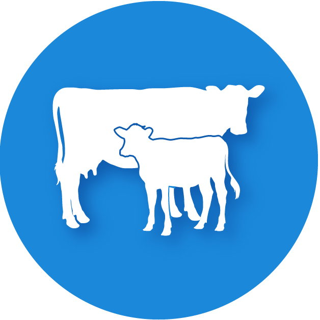 Veterinary Service Center
