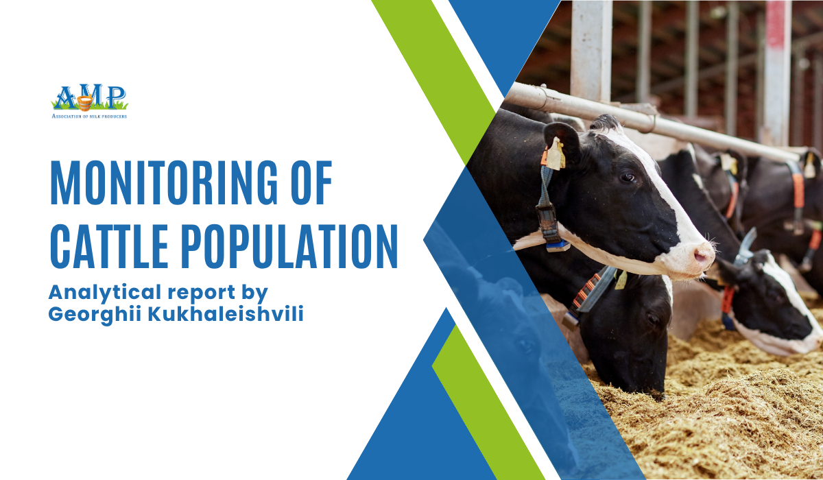Dairy Farms Increase Cow Herd Sizes