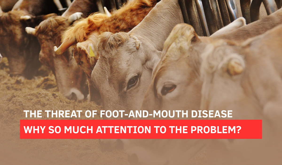 The Threat of Foot-and-Mouth Disease – Why So Much Attention to the Problem?