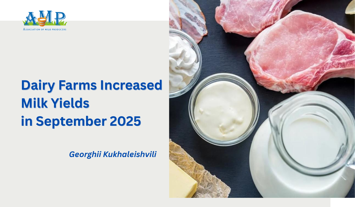 Dairy Farms Increased Milk Yields in September 2025
